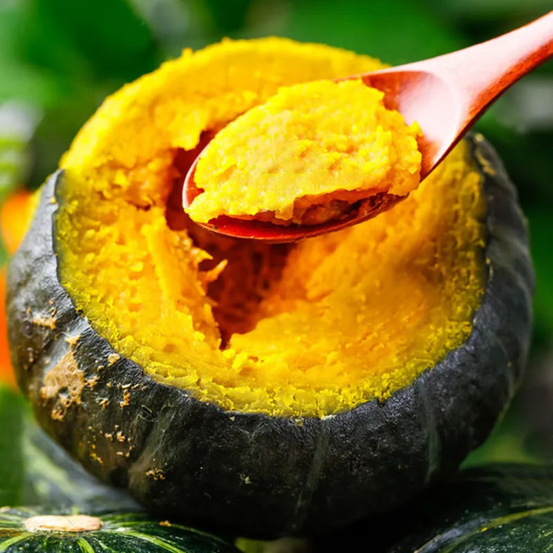 Organic Beibei pumpkin seeds🥝