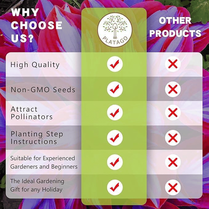 Rare Coleus Seeds - Rare & Unique Varieties🌸 (Pack of 500 Seeds)