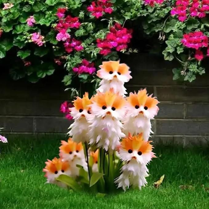 🐱Cat Magical plants! 🌈Cat's eye dazzling series (MIX COLORS)