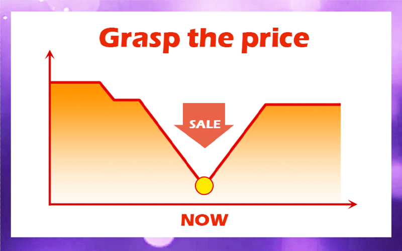 Climbing Vine Rose Flower Seeds